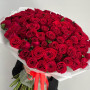 101 красная роза фото 2